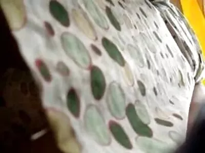 Не успях да сдържа силната си страст секс филми безплатно и изчуках приятелката на сестра ми.